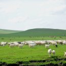 푸른초원 이미지