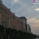 프리미엄 정육점 이미지