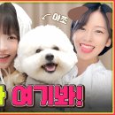 같이 이미지