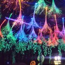 무주반디유치원 | [무주팸투어 2019.9.7-9.8] 2일차 무주반딧불축제장 반디나라관 1