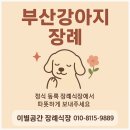 부산강아지장례, 정식 장례식장에서 따뜻하게 보내는 방법