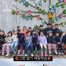 글로벌 파워점핑 줄넘기&태권도 이미지