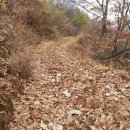 할미산 Daum카페