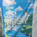 오십천둔치 | 2024 영덕 황금은어 축제 다녀온 후기