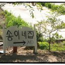 송이네민박 Daum카페