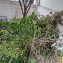 유상농장 이미지