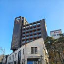 주니비노호텔 | 합정 호텔 가성비 숙소 주니비노 호텔 홍대