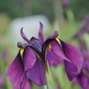 혜민농장 이미지