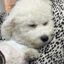 씨제이올리브영(주)남부터미널점 | 소소일기 #12 211012~211013 일상