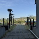 투썸플레이스경주 이미지
