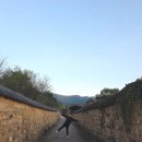 노랑통닭(대명점) | 쉼의 한주 달성습지 남평문씨본리세거지