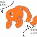 포실 이미지