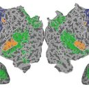 “AI 뇌해독기로 생각읽는다”…美연구팀, fMRI로 생각읽기 성공 이미지