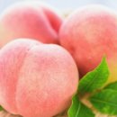 지희농장 이미지