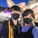 용인러는웨촬어디서하게¿ 에버랜드 웨딩스냅 후기 (인더월렛 ˖⁺👛⋆˚₊ ͟͟͞͞➳❥💍)