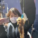신나라1호
