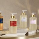 프란시스 이미지