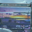 바람에 언덕 | [경남/거창] 감악산 아스타국화 축제 별바람언덕 방문 후기