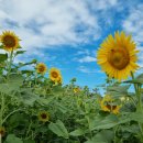 평택시 농업생태원1 이미지