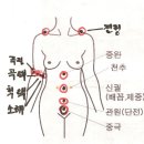 테니스엘보 괄사 벌침치료 이미지