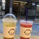 다라&별이와플