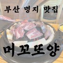 [부산명지맛집] 직접 구워주시는 깔끔한 양갈비 맛집 &#34;머꼬또양&#34;