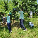 월등면 행정복지센터 이미지