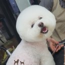 슈에뜨시앙 이미지