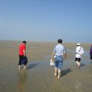 바위솔펜션 이미지