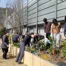 철암초등학교 이미지