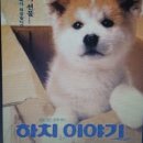 하치이야기 | 하치이야기 감동...!
