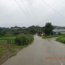 판관오리 이미지