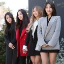 씨스타 카카오 검색결과