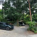 아잘리아그린 이미지