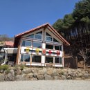 토종집(빨래골옻닭) | 용인 아시아나CC맛집 금황옻닭 한방삼계탕 후기