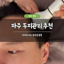파주 탈모관리 추천 닥터모다르 파주운정점 솔직 후기 두피관리 스케일링