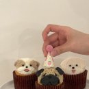 멈무푸드 이미지