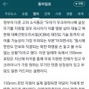 [단독]우크라 요청에 155㎜ 포탄 지원검토 이미지