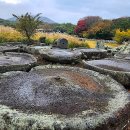 선인축산 이미지