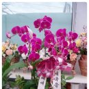 복음내과의원 이미지