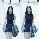19호 이미지