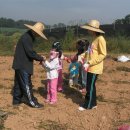 다정농장 이미지