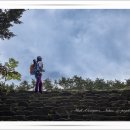 태백산가는길 이미지