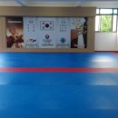 중앙 태권도 체육관 이미지