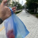 환이네분식 | 3달 전에 임시저장 해놓고 까먹고 있다가 이제 올림;;