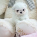 손톱공주 - 거제시 | 손톱공주