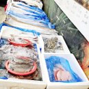 와싸다 장터 이미지