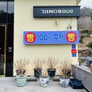 다이노스808 이미지