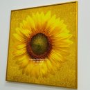 김가네부동산중개 이미지