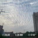 하루를 48시간처럼⭐️6월 첫째주 일기
